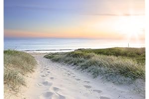 decomonkey - Papier Peint Intissé Plage Mer 400x280 cm - Panoramique Image XXL Maison Chambre Déco Photo Murale Décorative Tenture Murale pour Appartement Décoration Salon