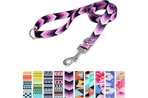 Suredoo Correa para Perros Nylon, Correa de Adiestramiento Ajustable y Resistente para Perros Pequeños, Mediano y Grande, Mascotas,Gatos, 120 x 2.0cm (Flecha)