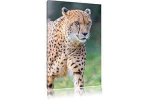 PIXXPRINT tapi guépard sur la prairie Toile, XXL photos complètement encadrée avec de grandes images de coin, art impression sur la photo murale avec cadre, moins cher que la peinture ou une peinture à l'huile, pas une affiche ou bannière