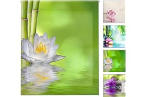 Blindecor Estor enrollable translúcido digital, Zen,W-Z-16040,150X180 cm