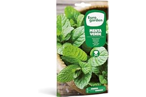 Eurogarden - Semillas de Menta Verde, Planta aromática culinaria, 0,1 g - 653