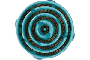 Outward Hound Slow Feeder Dog Bowl - Makes Meal Time Fun, Slows Down Eating, Promotes Healthy Digestion, Prevents Bloat | Slip Resistant and Durable, Food and Water Bowl, Size Large (Turquoise)