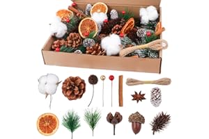 Joxessaien 170 Stück Weihnachtskranz Deko Set – Adventskranz Zubehör mit Baumwolle, getrockneten Orangenscheiben, Zimtstangen, Sternanis, Walnüssen, Tannenzapfen, Beeren, Tannenzweigen & Juteseil