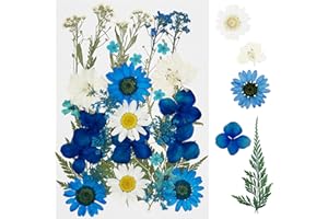 Cayway 35 szt. Suszone kwiaty żywiczne, naturalne niebieskie tłoczone suszone kwiaty prasowane suszone kwiaty naturalne suszone kwiaty do świec DIY biżuteria żywica udział