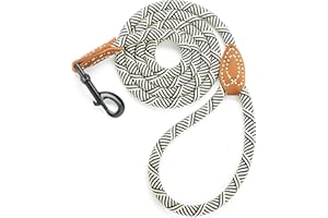 Mile High Life | Laisse pour Chien d'escalade avec Fermoir Robuste en métal Robuste | Connexion sur Mesure en Cuir véritable avec Coutures Solides (Blanc, 1.2 M)