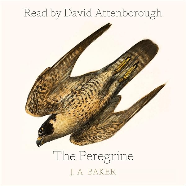 The Peregrine Audio Download Amazon Co Uk J A Baker David