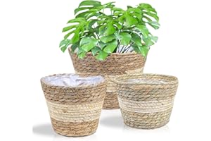 JNRFTY Set of 3 plant baskets, flower baskets, braided, old seagrass basket, hand-woven planters, flower pot, plant basket