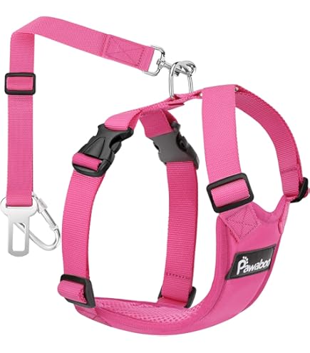 Pettorina Sicurezza Per Cane In Auto Taglia L | Con Moschettone E Cintura Regolabile Blu - Foto 8