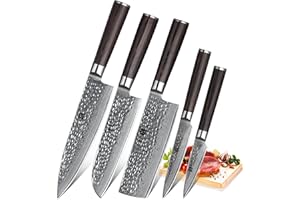 XINZUO 5 Pièces Ensemble de Couteaux de Cuisine Finition Martelée 67 Couches Acier Damas Tranchant Couteau de Chef Santoku Nakiri Universel Fruits Couteaux professionnels -Poignée en Bois de Pakka