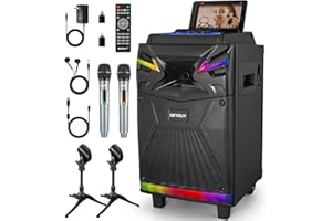 GEYGUY Casse karaoke professionale completo con 2 microfoni wireless, Altoparlante portatile Bluetooth con Luci per feste, Woofer da 10" Sistema PA, effetti sonori/luci DJ/radio FM GTSK10-1