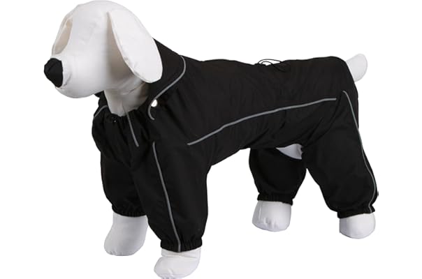 best dog rain jacket