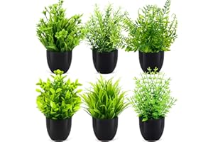 TEBOKHAD 6 Pezzi Mini Pianta Finta, Piante Finte Da Interno, Piantine Finte Decorative Con Vasetto per Arredare Uffici, Camere Da Letto, Terrazze, Soggiorni E Bagno Decorazione Interno