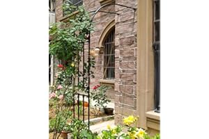 NOWORO Demi-Arche de Jardin Arceau Rosier Grimpant 90x240x40cm 200x267x50cm 350x267x50cm Arche en métal Stable Tonnelle Arcade pour diverses Plantes grimpantes, Jardin extérieur, Noir/Blanc (Color : Noir,