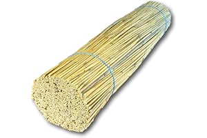 Hiss Reet BeeCasa by Schilfrohrhalme FEIN | Naturbelassener Bund | Insektenhotel & Bienenhotel Füllmaterial | Niströhren & Nisthülsen für Wildbienen