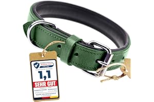 Schnüffelfreunde Obroża skórzana dla psa I Obroża dla psów ze skóry (XL - 46-55cm, Zielony)