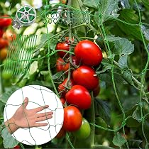60 Grandes Pinces à Plantes COM-FOUR® - Pinces Pour Treillis, Tomates, Roses Et Bâches - Fixation Robuste 6x4,5cm Vert