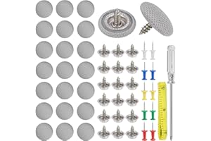 zrfgbxim 80 Set Chinchetas Techo Coche, Kit Reparacion Techo Coche Despegado, Botones Coche Techo, Hebillas de Techo de Coche, Kit de Reparacion Techo Coche