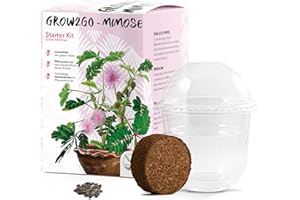 HAPPYSEED GROW2GO Mimosa Pudica starter kit - mini-serre, graines de mimosa & set de plantation en terre - idée de cadeau durable pour les amoureux des plantes
