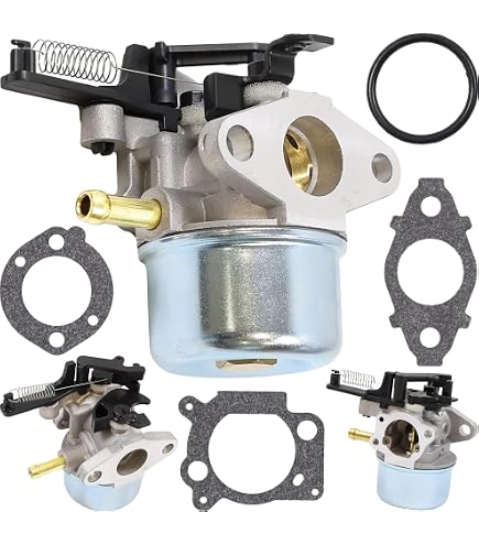 Ewillownm Compatible avec le carburateur 591137 pour Briggs Stratton 591597 216852 590780 593380 591137 110P02 110P05 8.75 série 875