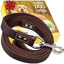 ADITYNA Hundeleine Aus Leder – 1,8 M Lang, 1,27 Cm Breit, Braun, Geflochten, Mit Gepolstertem Halsband, Für Kleine Hunde