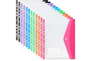 SEEDAWN Punched Folders with Plastic Pockets - 12 Pack Expandable A4 Folders with Label Pocket, 11 Holes Multicolor Plastic Documents Folder Envelope File Popper Wallets for School Home Office