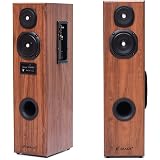 F\u0026D T60X 110 Watt 2.0 Channel Wired 