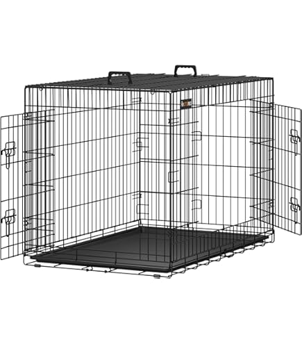 Targa Metallo 'Border Collie Attenti Al Cane' - Dimensioni 15x20 Cm Per Esterni - Foto 4