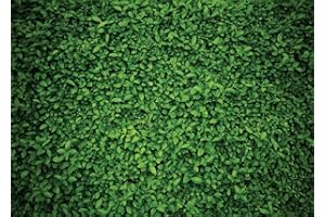 AIIKES 7x5FT Hojas Verdes Telón Fondo para Fotografía Hierba Lmágenes Fondo Primavera Safari Fiesta de Cumpleaños Decoración Aire Libre Tema Recién Nacido Bebé Nupcial Ducha Boda Cabina Fondo 11-558