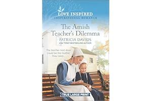 The Amish Teacher's Dilemma (North Country Amish, 2, Band 3)