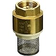 Proline 101-324NL Brass Low Lead Foot Valve, 3/4"