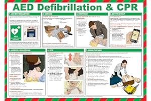 SAFETY FIRST AID GROUP Safety First Aid A625T Poster mit Ausbildung des Defibrillators