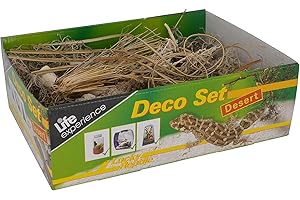 Lucky Reptile Life Experience LDS-01 - Miniterrario seco, Set de Decoración de Desierto, con Materiales Naturales