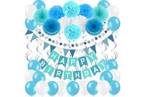 ZERODECO Birthday Party Decoration, Happy Birthday Banner with 4 Paper Fans Tissue 6 Paper Pom Poms Flower 10 Hanging Swirl and 20 Balloon for Birthday Party Decorations -Blue, Sky Blue and White