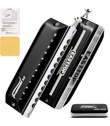 Hohner Chromonica 260 10 Hole Chromatic Harmonica : Amazon.in