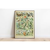 Pegziz pgzzNM1707 Kuş &Ccedil;eşitleri Vintage Sanatsal Poster 50x70cm.