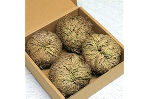 ‎ONING Rosa de Jerico Original, 4er-Pack getrocknete Rosen von Jericho-Pflanzen – getrocknete Farn-ähnliche Schuppenblatt-Gebetspflanzen für spirituelle Reinigung, Heimblumen-Dekoration