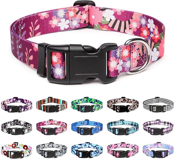 Mercano Collar para Perros Ajustable y Resistente - Patrones de Diseño Especial, Cómodo Nylon Suave para Perros Pequeños Medianos Grandes (S, Flores Vistoso) - 1