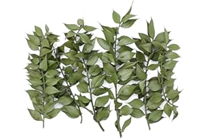 The Baked Studio - Original Dried Flower Ruscus Set For Cake & Cupcake Decorating & Others Crafts (Natural Green)