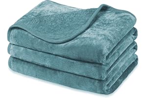 Baodan Dog Blankets Washable Soft Fleece, 120x100 cm Puppy Blankets for Medium Large Dogs and Cats, Cozy and Warm Pet Throw Blanket - Lake Green