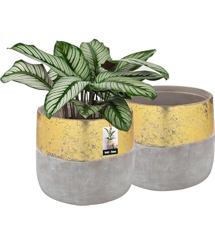 Ikea KAFFEBONA Pflanztopf 9 cm [Bambus]: Amazon.de: Garten