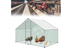 HENGMEI Pollaio 3 x 2 x 2 m gabbia per piccoli animali domestici in acciaio zincato con tetto in PE esterno con serratura pollaio