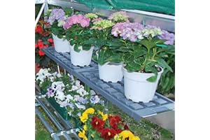 Palram Gewächshaus - Regaleinsatz für Palram Gewächshäuser