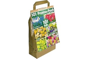 GREENBROKERS 101 Dutch Bulbs | Big Buy Promo Pack | Bee-Friendly | Mixed Spring Flower Bulbs | Eco-Friendly Packaging | Easy Planting Guide Included