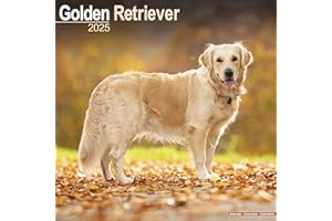 Golden Retriever 2025 Square Wall Calendar | Dog Breed Calendar