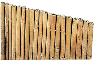 MANIFATTURA 4F Arella Canniccio in Bamboo con canne spesse 14-25mm copertura da giardino | Canna Passante Frangivista ombra | Stuoia Cannucciata Frangisole | Recinzione ombra in bambù esterno | Dimensioni 100x300 cm