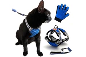 CutePet® - CutePet® - Harnais pour Chat, Chaton, Chiot Bleu L | Lot Harnais Laisse + Gant Brosse | Anti Evasion Réglable, Réfléchissant, Respirant