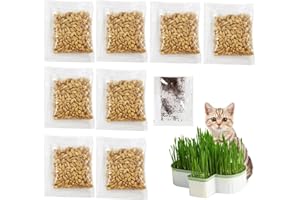 Luyuttn Catnip Seeds 200 Pieces + Cat Grass Seeds 120 g, Catnip Plant Seeds, Cat Grass for Cats, Cat Grass Seeds, Cat Grass Seeds, Catnip Seeds