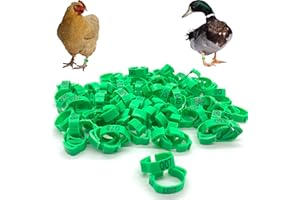 DHER Fascia anelli per gambe Anelli per Pollo Anello di Piccione di Plastica 100 pezzi con anello digitale per l'identificazione del piccione 1-100, anello per il piede regolabile da 18-22 mm (Verde)
