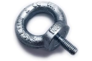 BEFESTIGUNGSTECHNIK F.R. Ringschraube galvanisch Verzinkt C15 - M6 - Traglast: 75kg - 5 Stück - [ Größe Wählbar ] Kranöse Zurröse Ösenschraube Augenschraube Augenbolzen Ringbolzen ähnl. DIN 580 (M6)