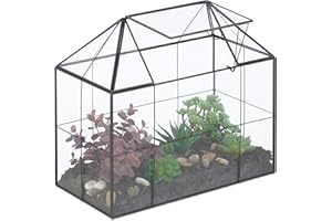 Relaxdays Terrarium pour Vos Plantes, décoratif et Pratique, pour Le Rebord de la fenêtre, 27 x 30 x 15 cm, Noir